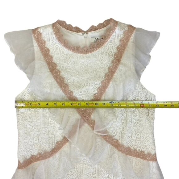 Amur Topeka Lace and Silk Dress - Picture 13 of 14